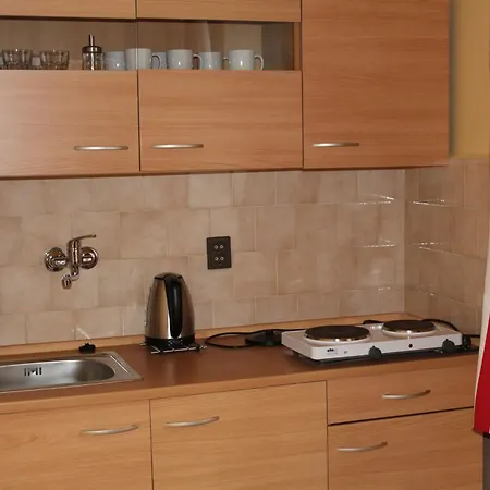 U Brany Apartment Kutna Hora