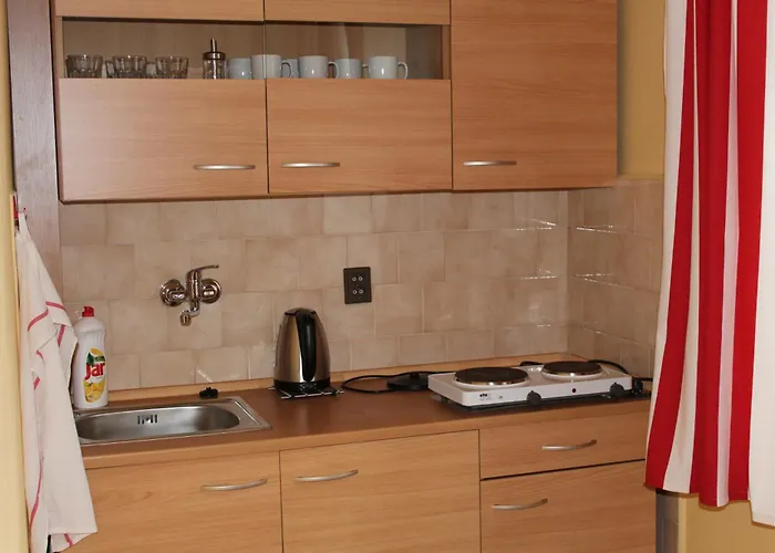 U Brany Apartment Kutna Hora